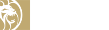 betmgm logo 220x61 - USBetting24